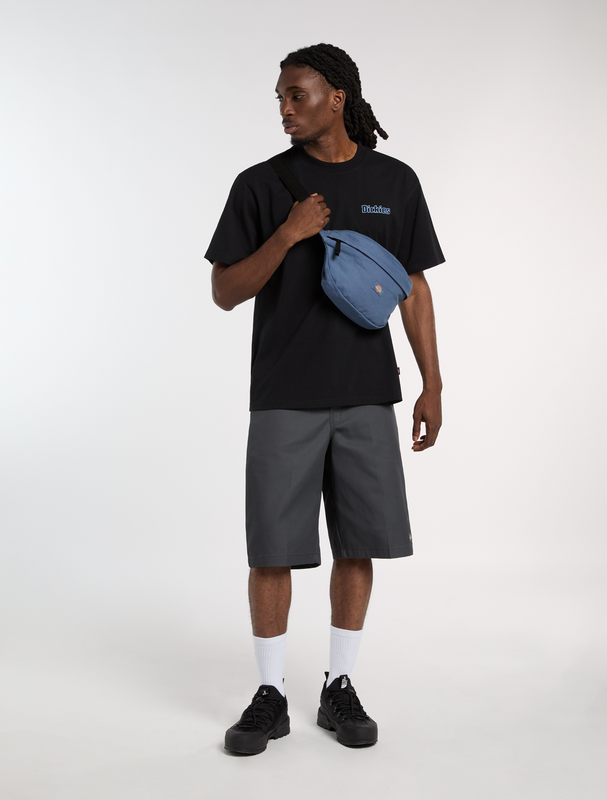 T-Shirt Manches courtes  de Dickies - FAIRLAWN - T-SHIRT - S à XXL - pour Homme - noir - Dickies - View 2