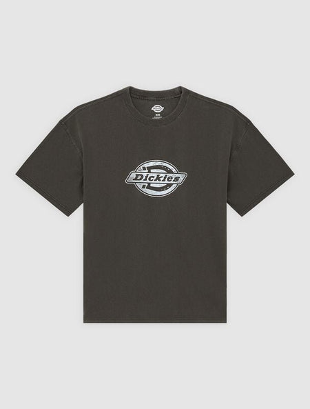 T-Shirt Manches courtes  de Dickies - PLAINVILLE TEE - S à XXL - pour Homme - noir - Dickies