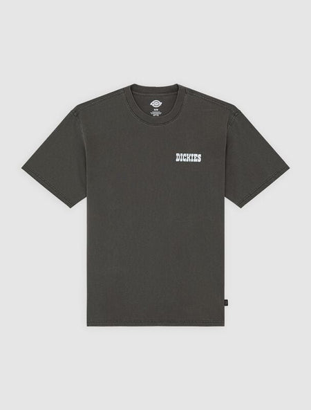 T-Shirt Manches courtes  de Dickies - BUCHTELL TEE - S à XXL - pour Homme - noir - Dickies