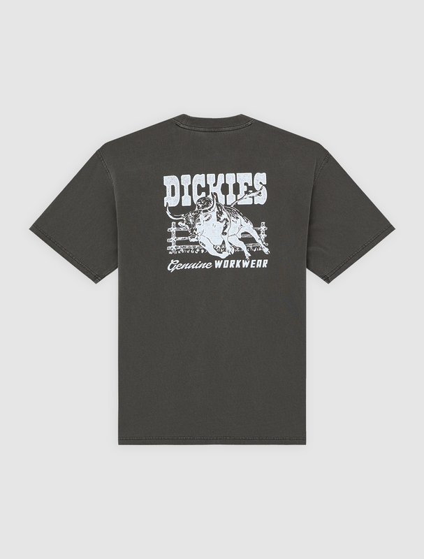 T-Shirt Manches courtes  de Dickies - BUCHTELL TEE - S à XXL - pour Homme - noir - Dickies - View 2