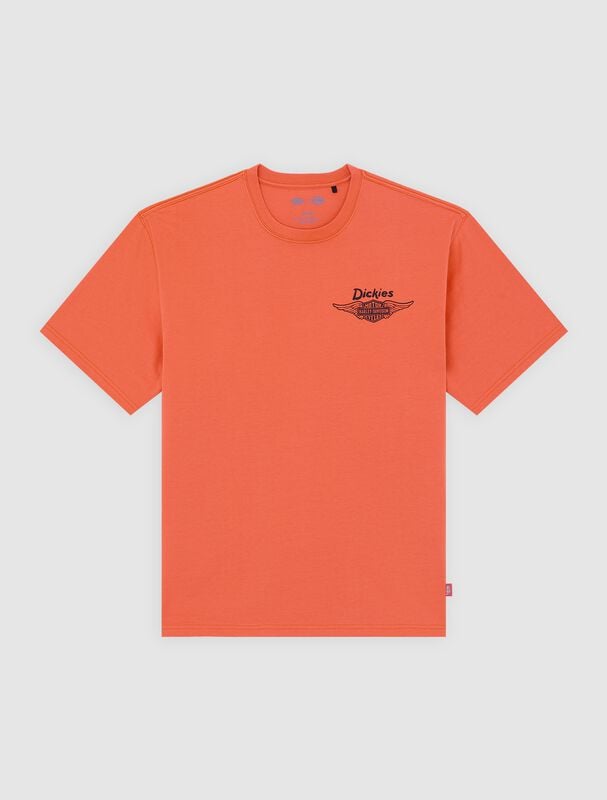 T-Shirt Manches courtes  de Dickies - DICKIES X HD TEE - S à XXL - pour Homme - orange - Dickies