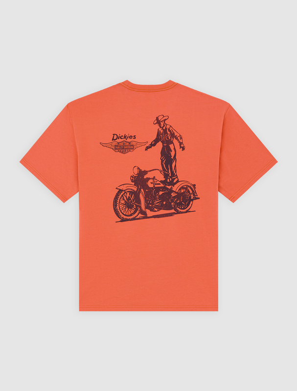 T-Shirt Manches courtes  de Dickies - DICKIES X HD TEE - S à XXL - pour Homme - orange - Dickies - View 2