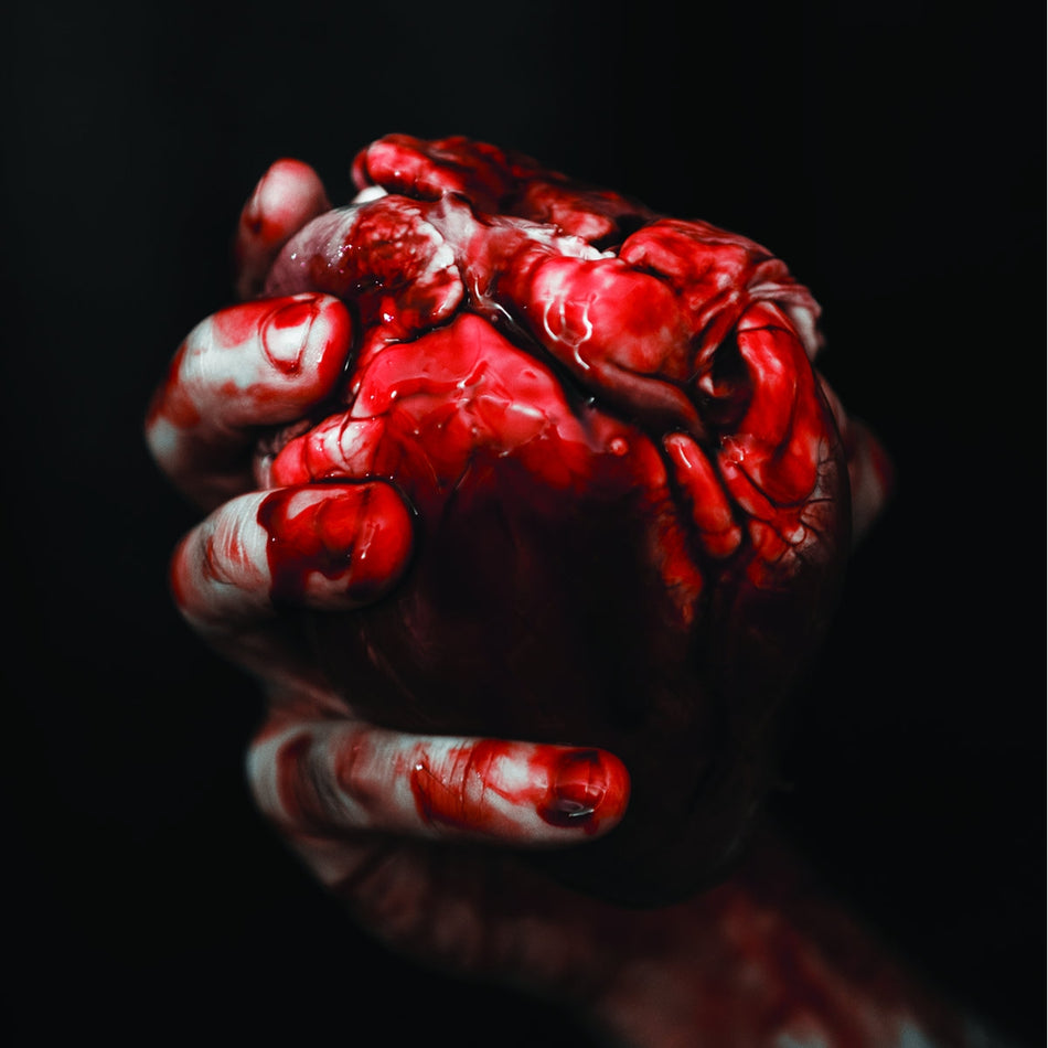 We Owe You Nothing - Front Cover