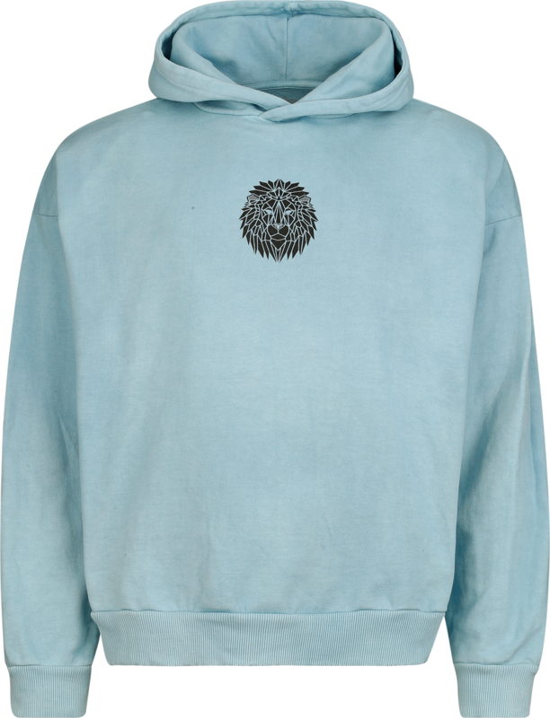 Sweat-shirt à capuche  de Harry Potter - Poudlard - Oversize - M à XL - pour Unisexe - bleu clair - Harry Potter - View 2