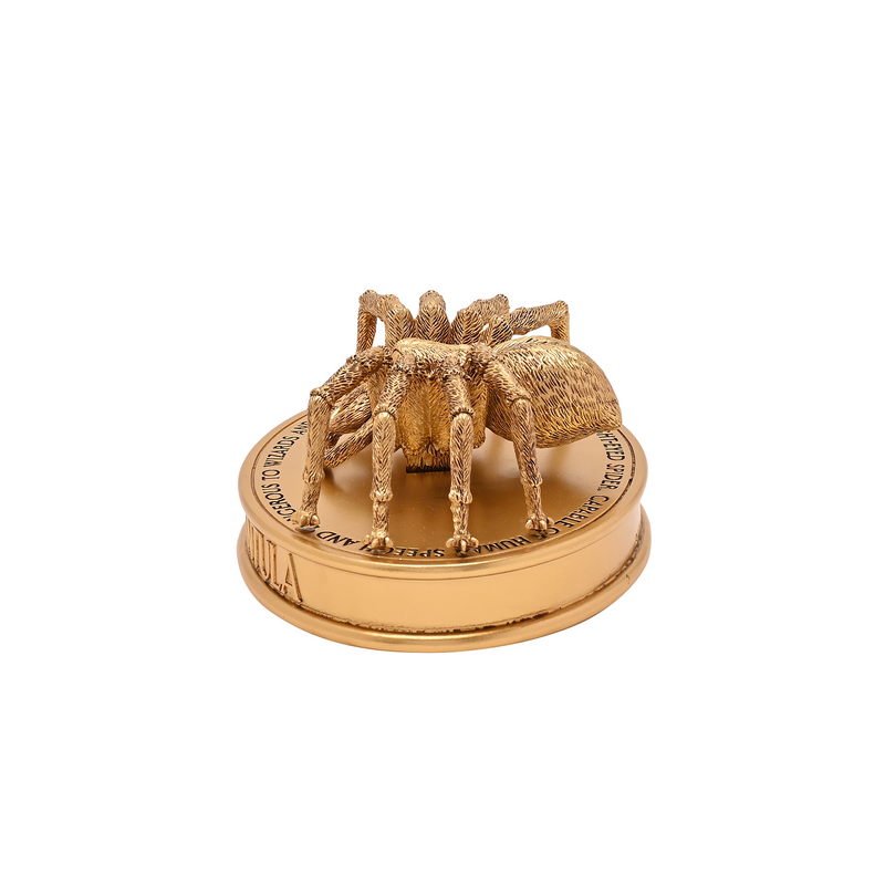 Statuette  de Harry Potter - Aragog - pour Unisexe - couleur or - Harry Potter - View 2