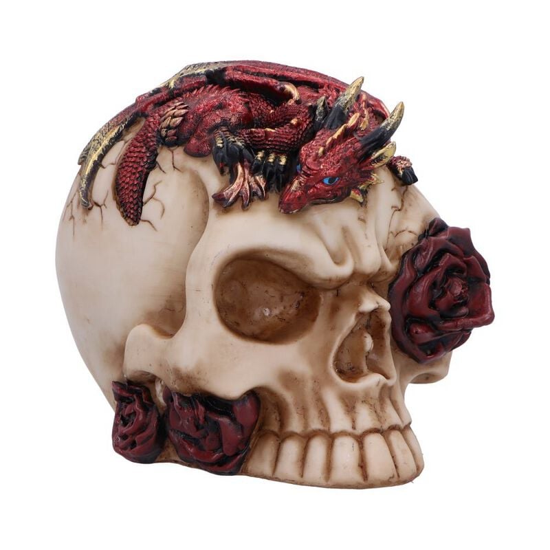 Crâne Gothic de Nemesis Now - Rose Flame - pour Indifférent - multicolore - Nemesis Now