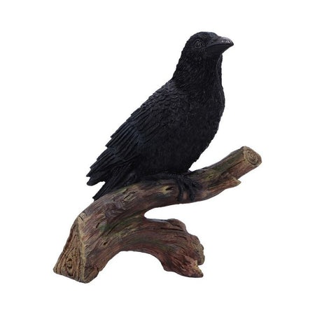Statuette Gothic de Nemesis Now - Ravens Perch - pour Indifférent - noir - Nemesis Now