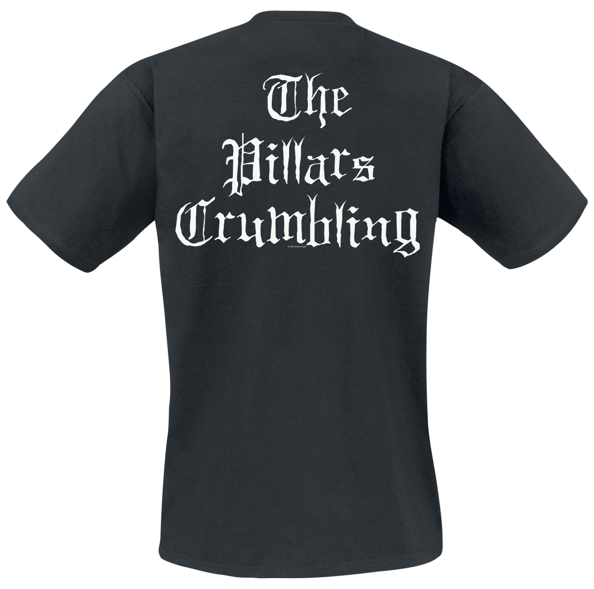 T-Shirt Manches courtes  de Morbid Angel - Pillars Crumbling - S à XXL - pour Homme - noir - Morbid Angel - View 2