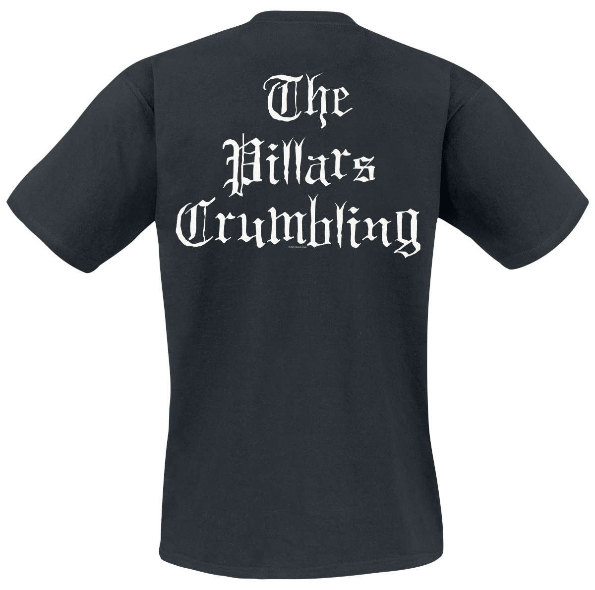 T-Shirt Manches courtes  de Morbid Angel - Pillars Crumbling - S à XXL - pour Homme - noir - Morbid Angel - View 2