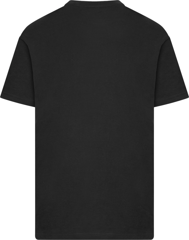T-Shirt Manches courtes  de Insomnium - Ravens & Sun - S à 5XL - pour Homme - noir - Insomnium - View 2
