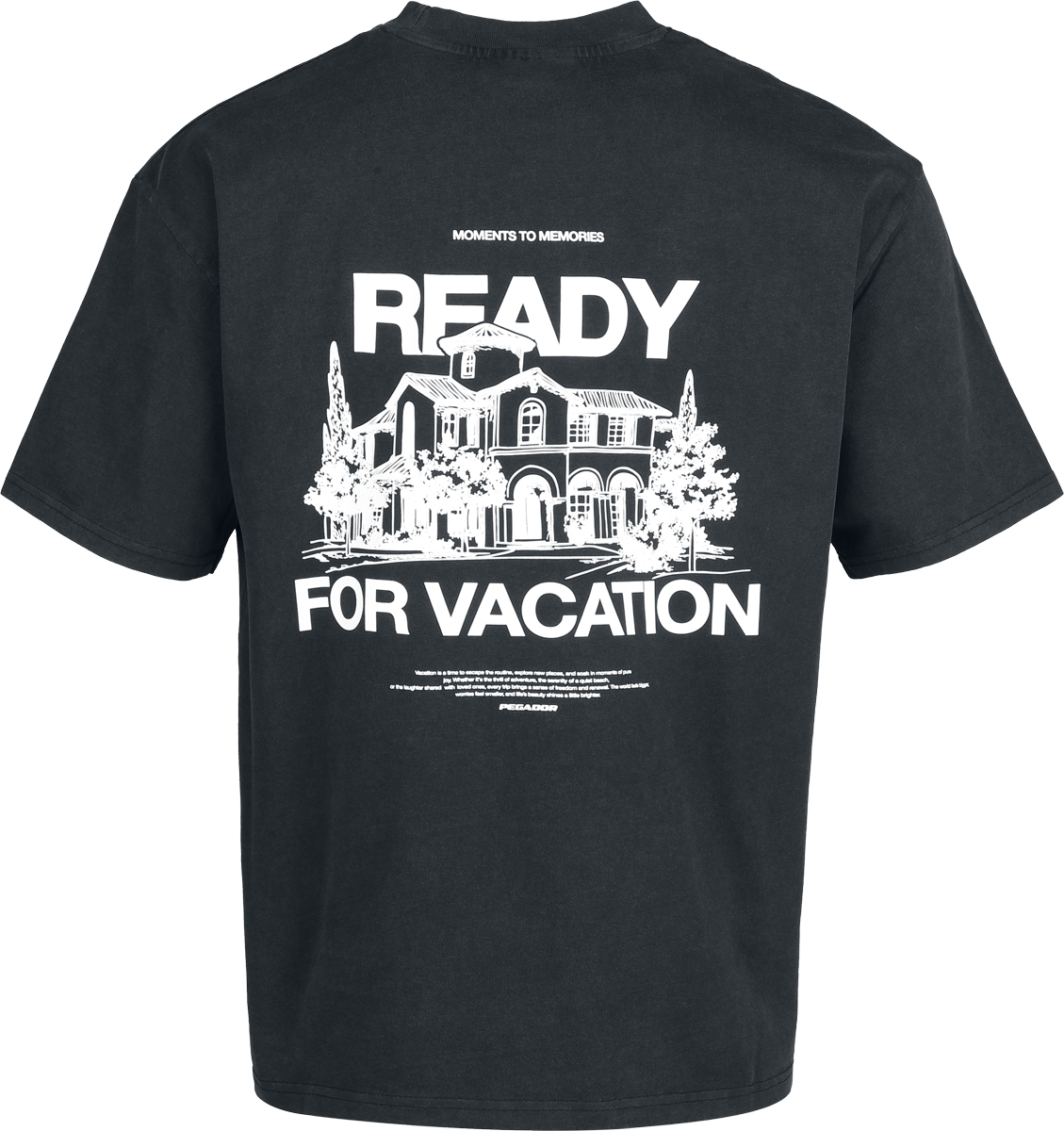 T-Shirt Oversize  de Pegador - Bovec Oversized Tee - S à XXL - pour Homme - noir - Pegador - View 2