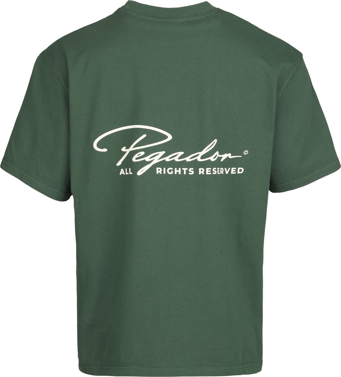 T-Shirt Oversize  de Pegador - Pike Oversized Tee - S à XXL - pour Homme - vert - Pegador - View 2