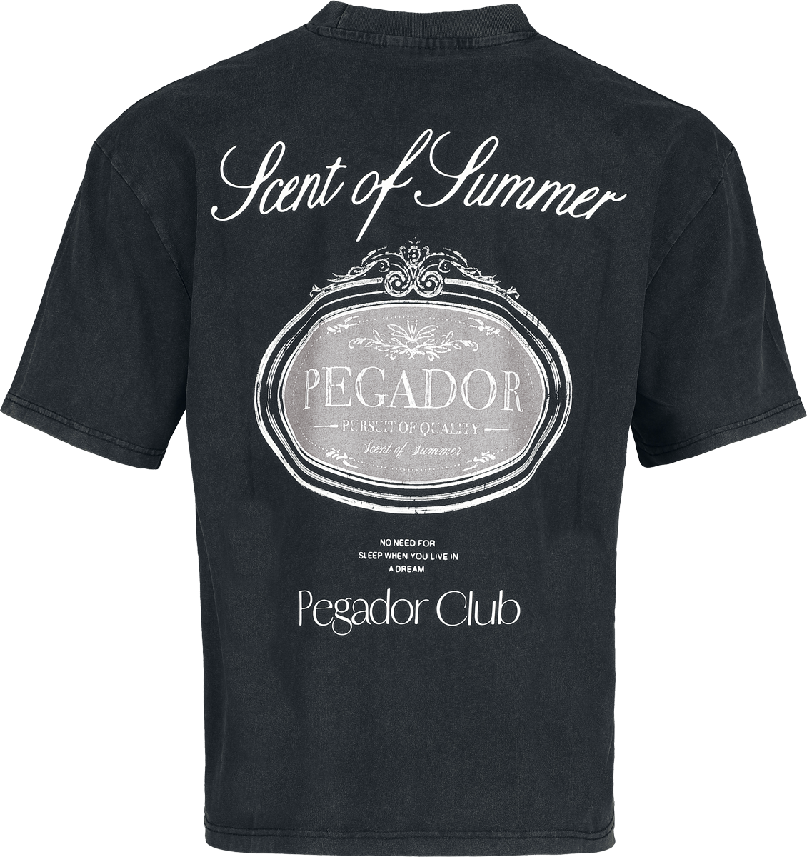 T-Shirt Oversize  de Pegador - Ramon Oversized Tee - S à XXL - pour Homme - noir - Pegador - View 2