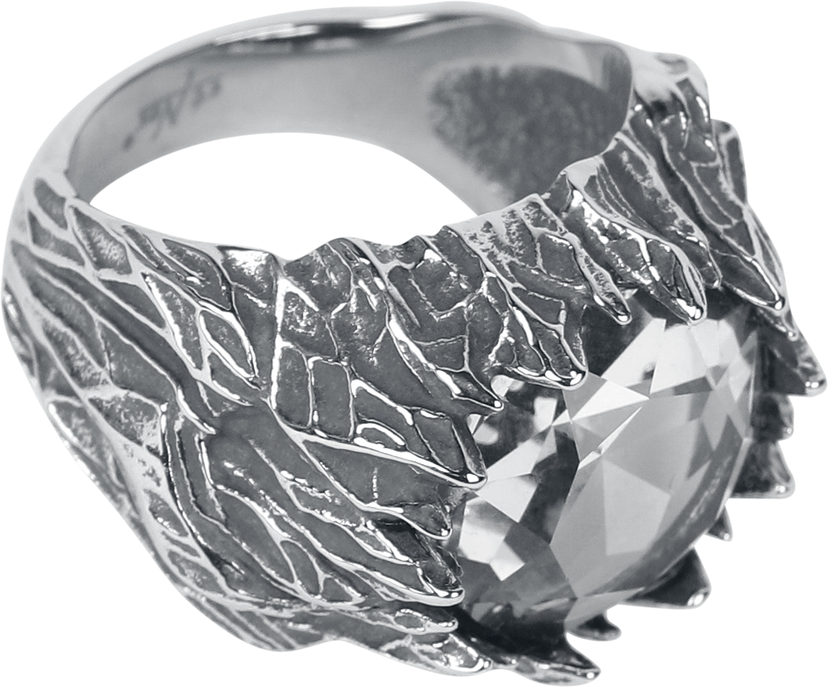 Bague  de etNox hard and heavy - Eiszeit - pour Unisexe - couleur argent - etNox hard and heavy - View 2