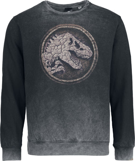 Sweat-shirt  de Jurassic Park - Cracked Earth - S à XXL - pour Homme - gris - Jurassic Park