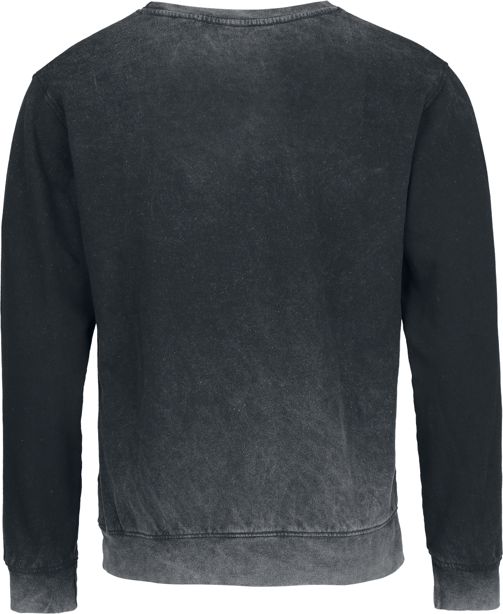 Sweat-shirt  de Jurassic Park - Cracked Earth - S à XXL - pour Homme - gris - Jurassic Park - View 2