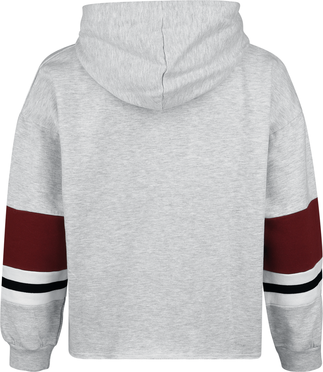 Sweat-shirt  de Harry Potter - Emblème Poudlard - S à XXL - pour Femme - gris - Harry Potter - View 2