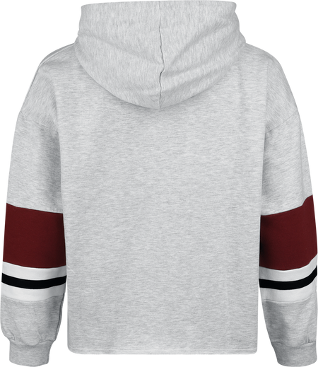 Sweat-shirt  de Harry Potter - Emblème Poudlard - S à XXL - pour Femme - gris - Harry Potter - View 2