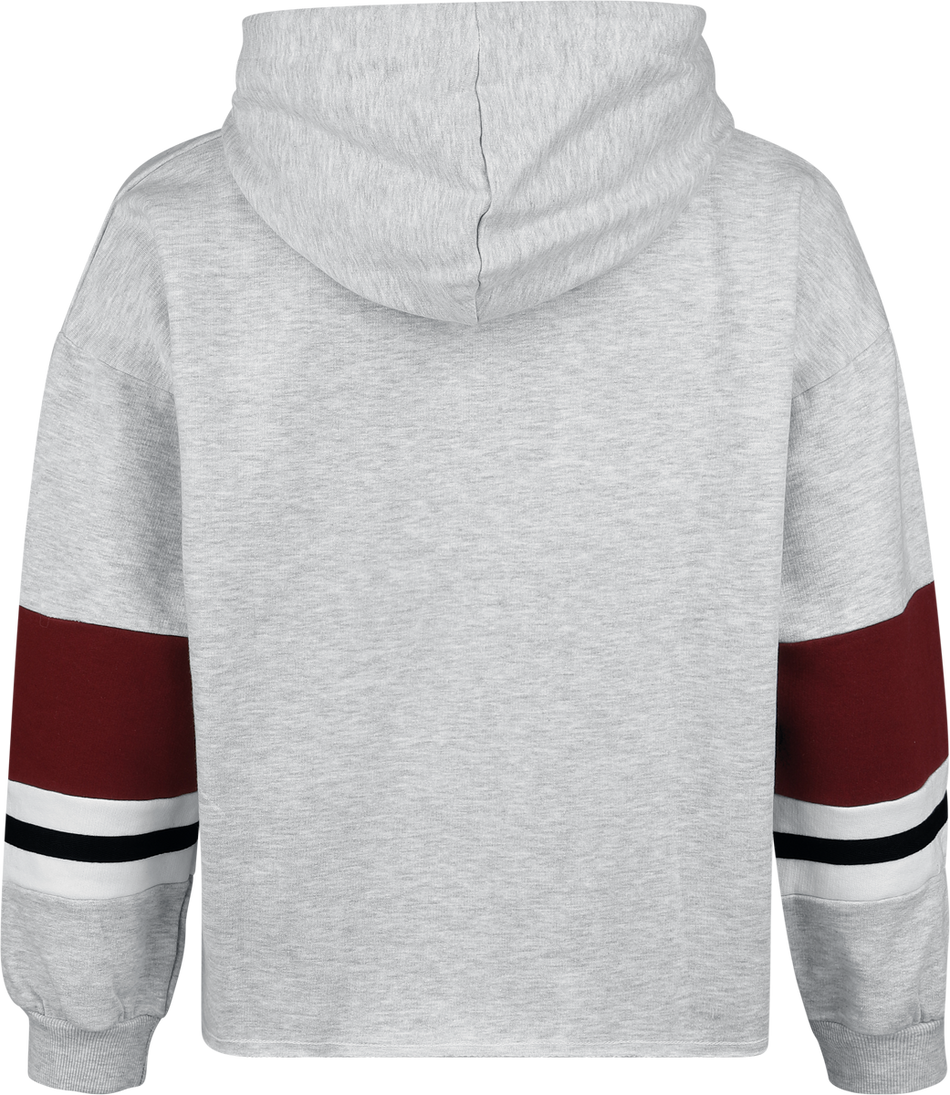 Sweat-shirt  de Harry Potter - Emblème Poudlard - S à XXL - pour Femme - gris - Harry Potter - View 2