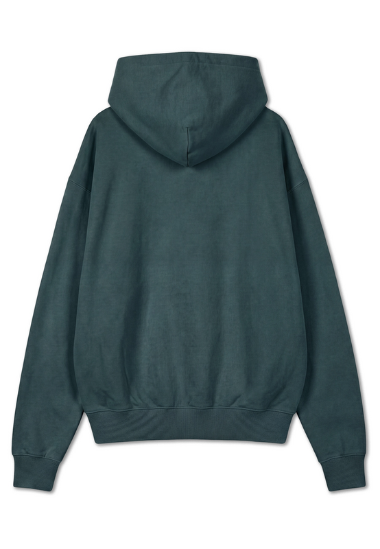 Sweat-shirt à capuche  de Pegador - Logo Oversized Hoodie - S à XXL - pour Homme - vert - Pegador - View 2