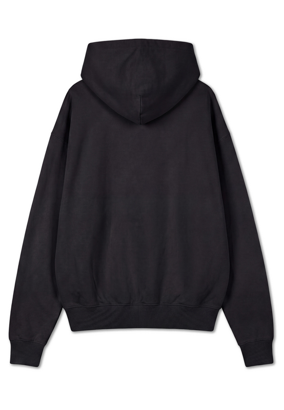 Sweat-shirt à capuche  de Pegador - Logo Oversized Hoodie - S à XXL - pour Homme - noir - Pegador - View 2