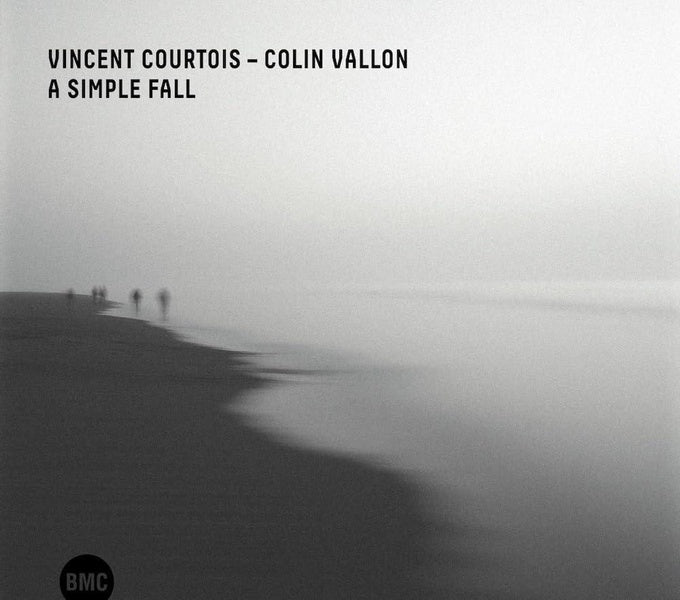 A Simple Fall - Front Cover