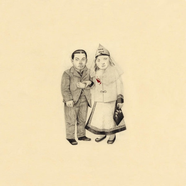 The Crane Wife - Front Cover