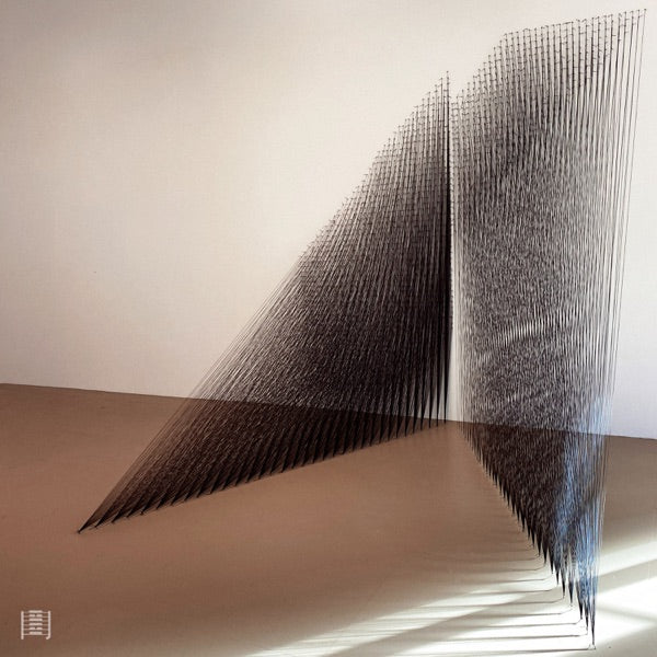 Prophetic Perfect Tense - Vinyle - Front Cover
