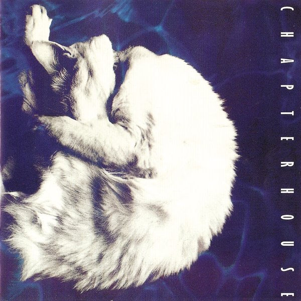 Whirlpool - Front Cover