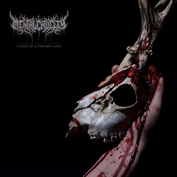 Echoes Of A Forlorn Land - Front Cover
