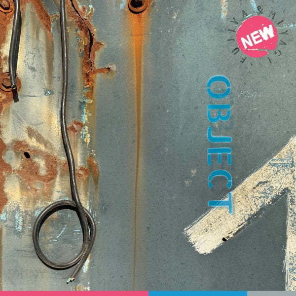 New Shiny Object - Front Cover