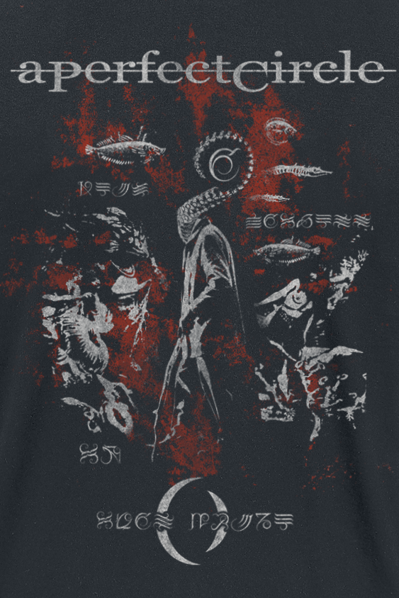 T-Shirt Manches courtes  de A Perfect Circle - Magdalena Distressed - M à 3XL - pour Homme - noir - A Perfect Circle - View 2