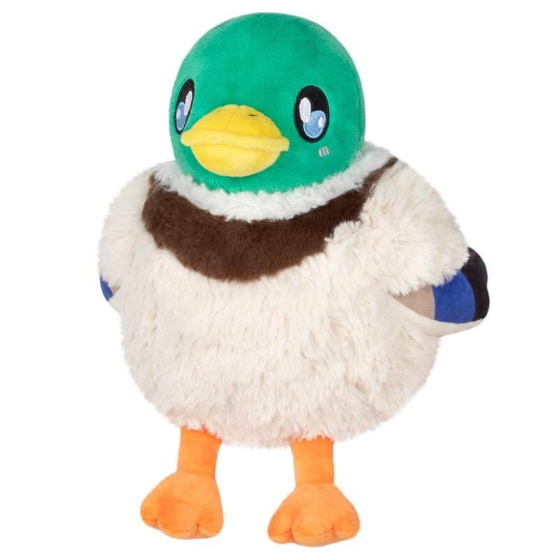 Figurine en peluche Fun de Squishable - Mallard Duck - pour Indifférent - multicolore - Squishable