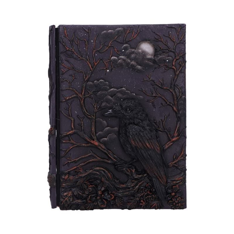 Carnet de notes  de Nemesis Now - Raven's Grimoire - Carnet - pour Indifférent - multicolore - Nemesis Now