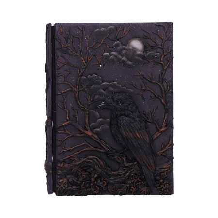 Carnet de notes  de Nemesis Now - Raven's Grimoire - Carnet - pour Indifférent - multicolore - Nemesis Now