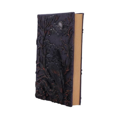 Carnet de notes  de Nemesis Now - Raven's Grimoire - Carnet - pour Indifférent - multicolore - Nemesis Now - View 2