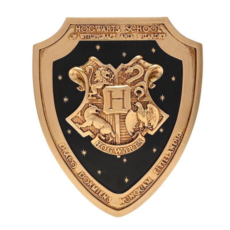 Poster  de Harry Potter - Alumni - Poudlard - pour Indifférent - multicolore - Harry Potter