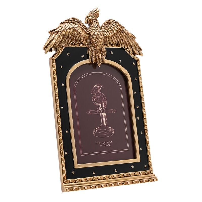 Cadre photo  de Harry Potter - Alumni - Fumsec - pour Indifférent - multicolore - Harry Potter
