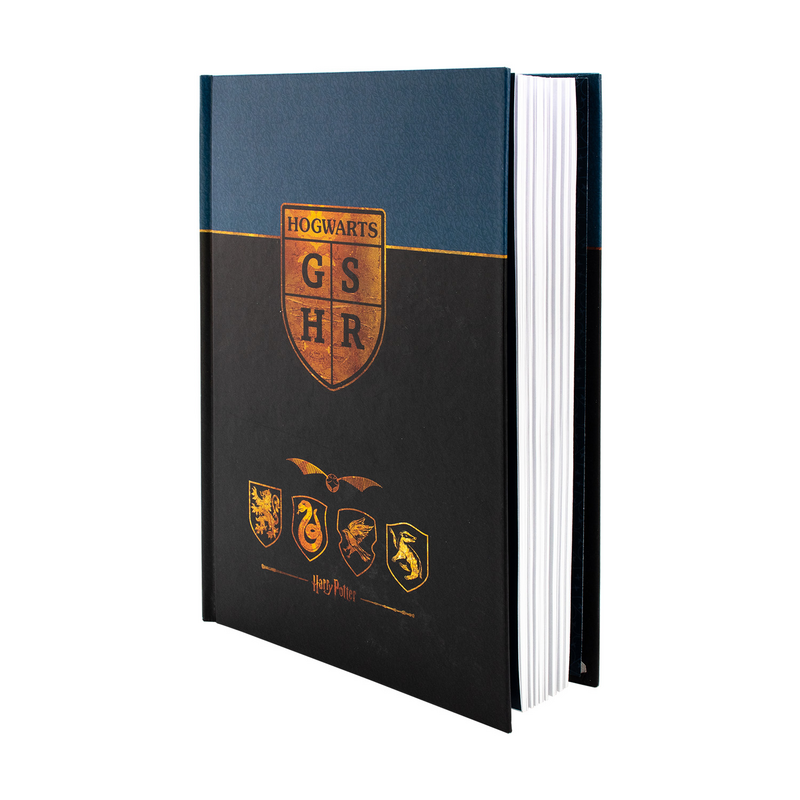 Carnet de notes  de Harry Potter - Poudlard - pour Indifférent - multicolore - Harry Potter - View 2