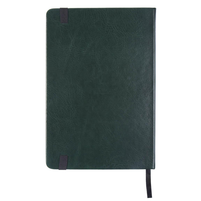 Carnet de notes  de Harry Potter - Serpentard - Carnet Premium - pour Indifférent - vert foncé - Harry Potter - View 2