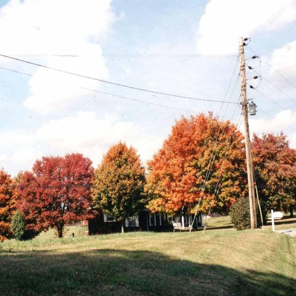 Things Are Gonna Be Alright - Vinyle Rouge - Front Cover