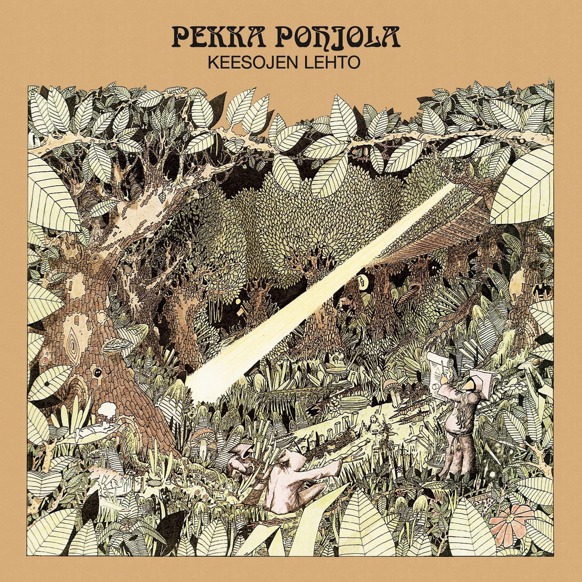 Keesojen Lehto (Mathematician's Air Display) - Front Cover