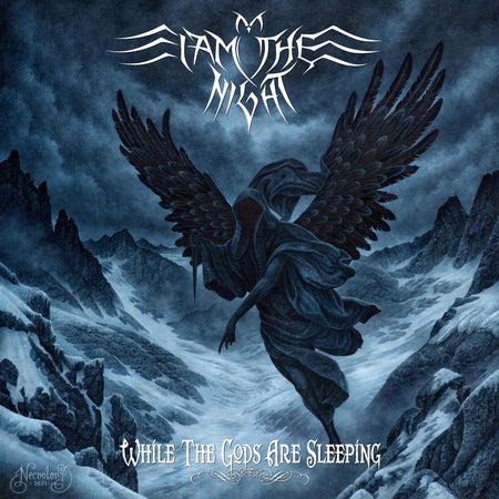 While The Gods Are Sleeping - Front Cover