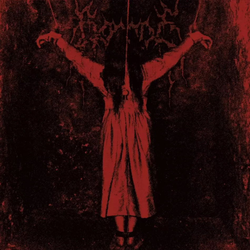 Y - Front Cover