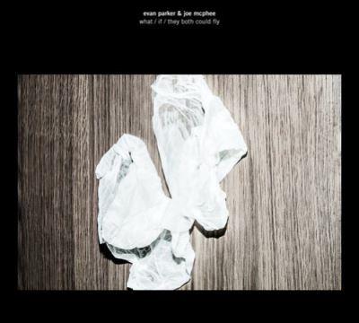 What (If They Both Could Fly) - Front Cover