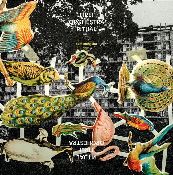 Ritual - Front Cover