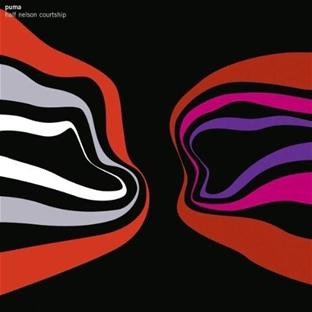 Half Nelson Courtship - Front Cover