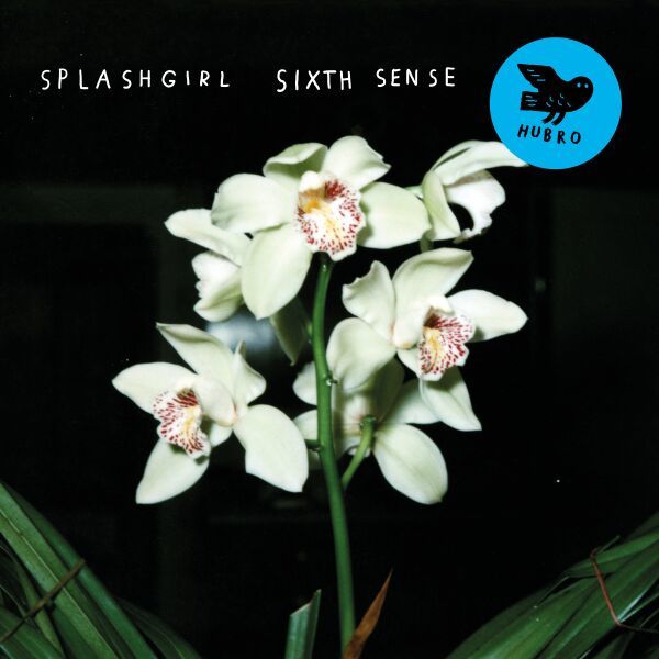 Sixth Sense - Front Cover
