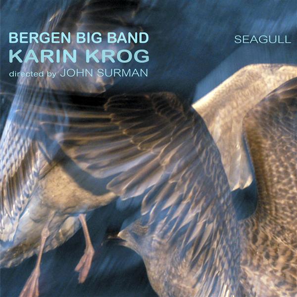 Seagull - Front Cover