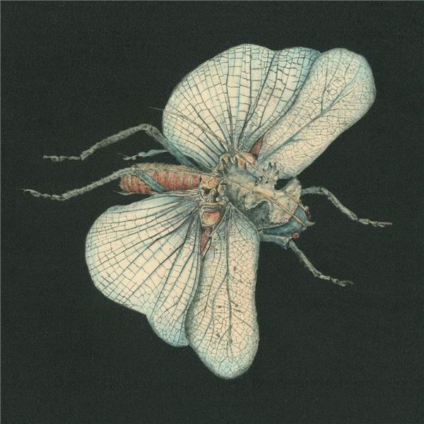 Go Dig My Grave - Front Cover